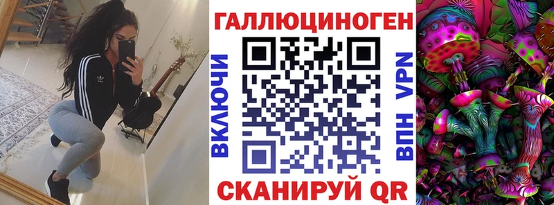 где купить   Бакал  Псилоцибиновые грибы ЛСД 
