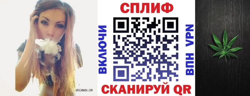 Канабис конопля  Бакал 